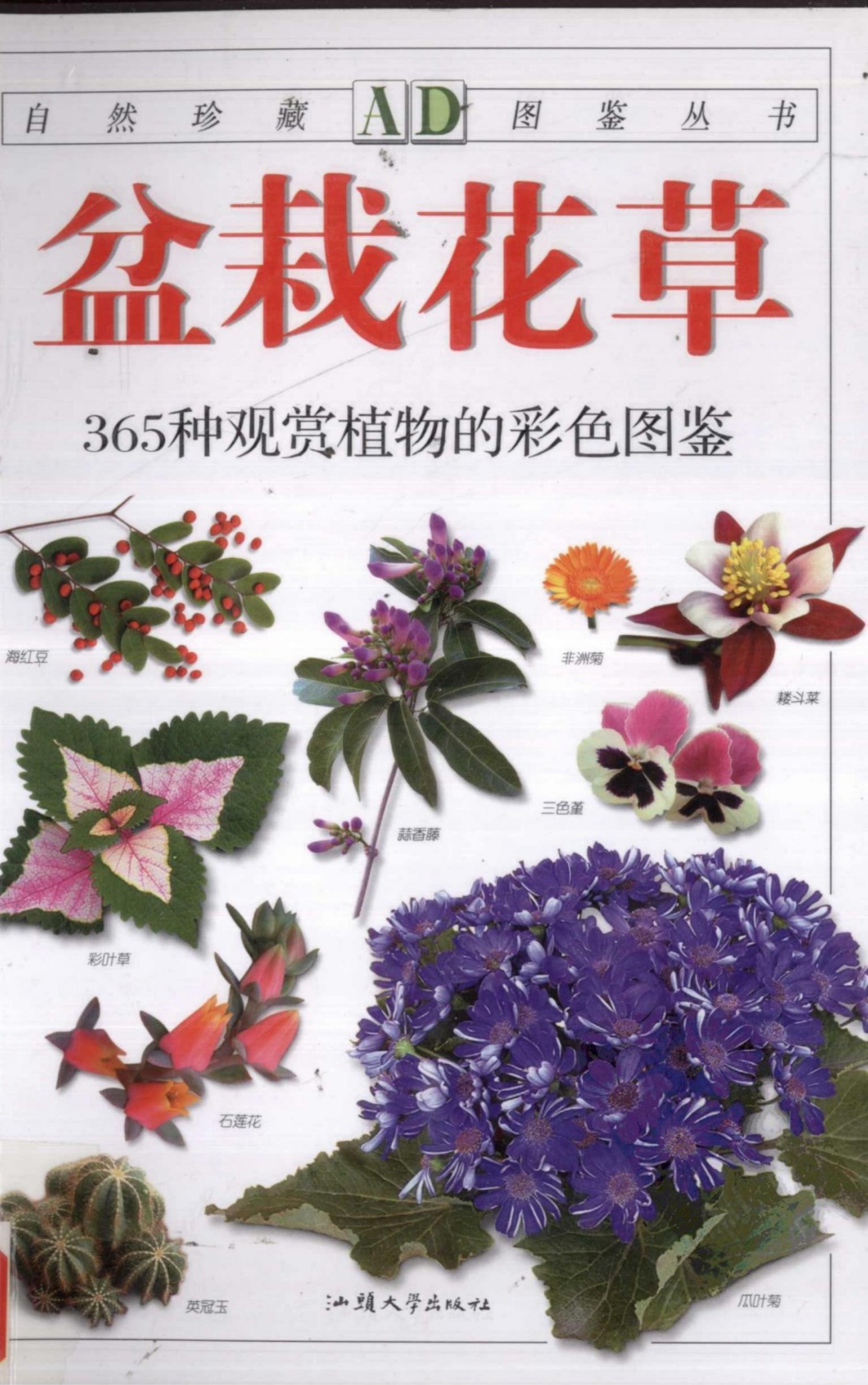 盆栽花草：365种观赏植物的彩色图鉴