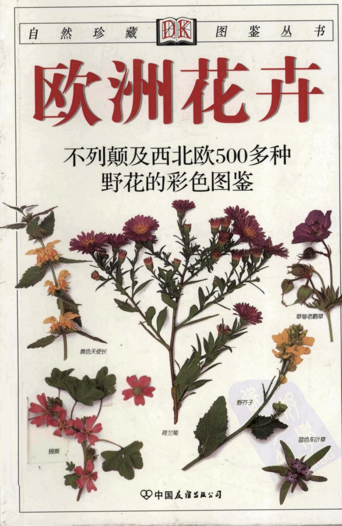 欧洲花卉：不列颠及西北欧500多种野花的彩色图鉴