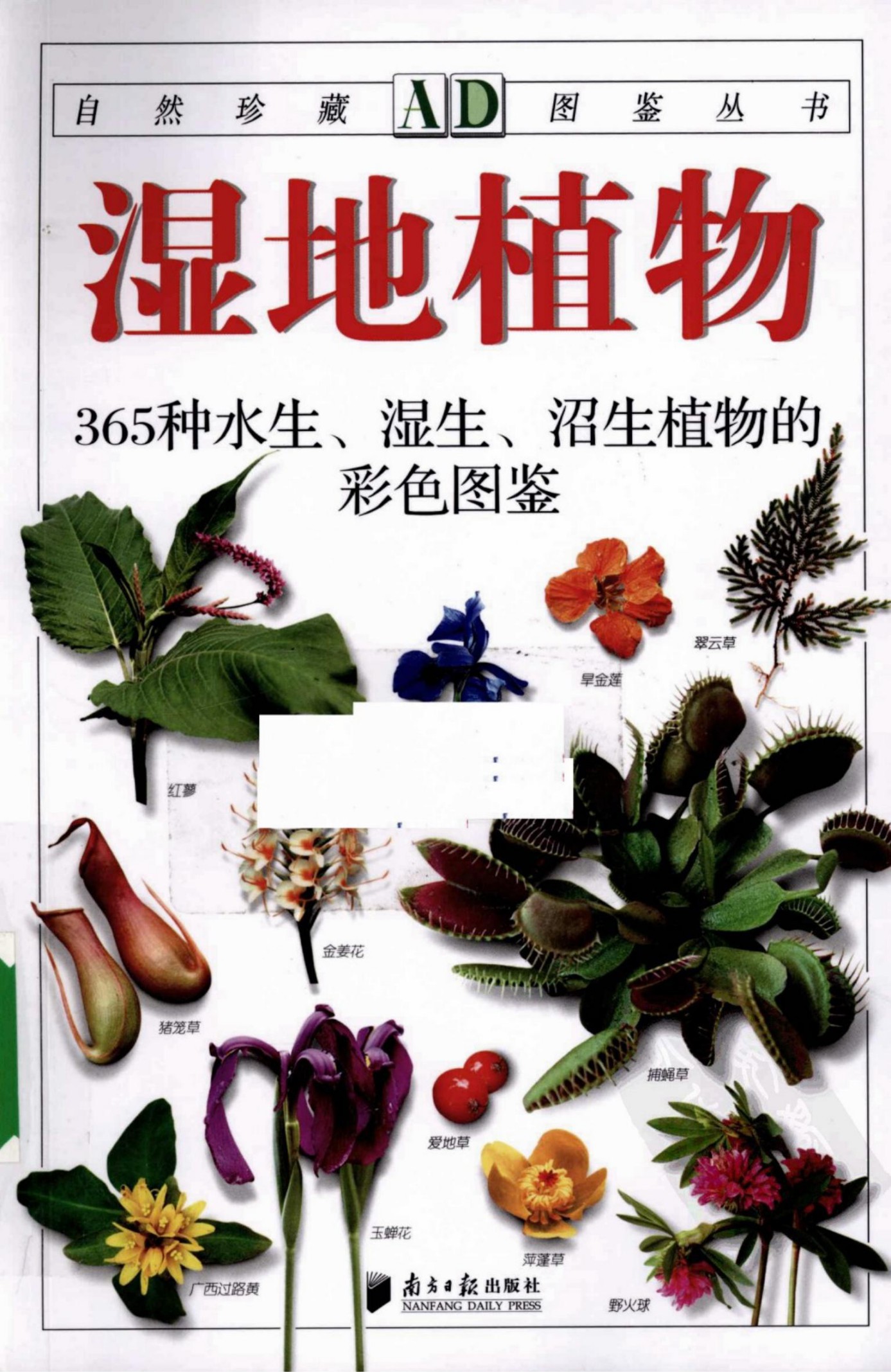 湿地植物：365种水生、湿生、沼生植物的彩色图鉴