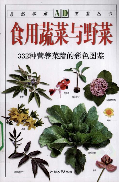食用蔬菜与野菜：322种营养蔬菜的彩色图鉴