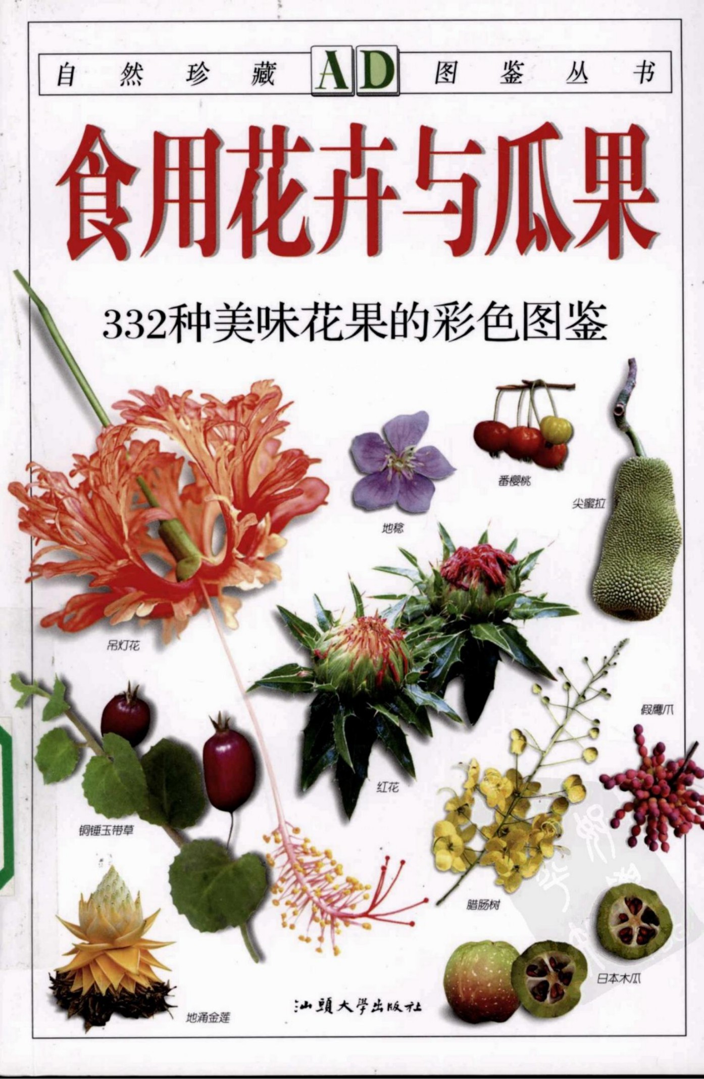 食用花卉与瓜果：332种美味花果的彩色图鉴