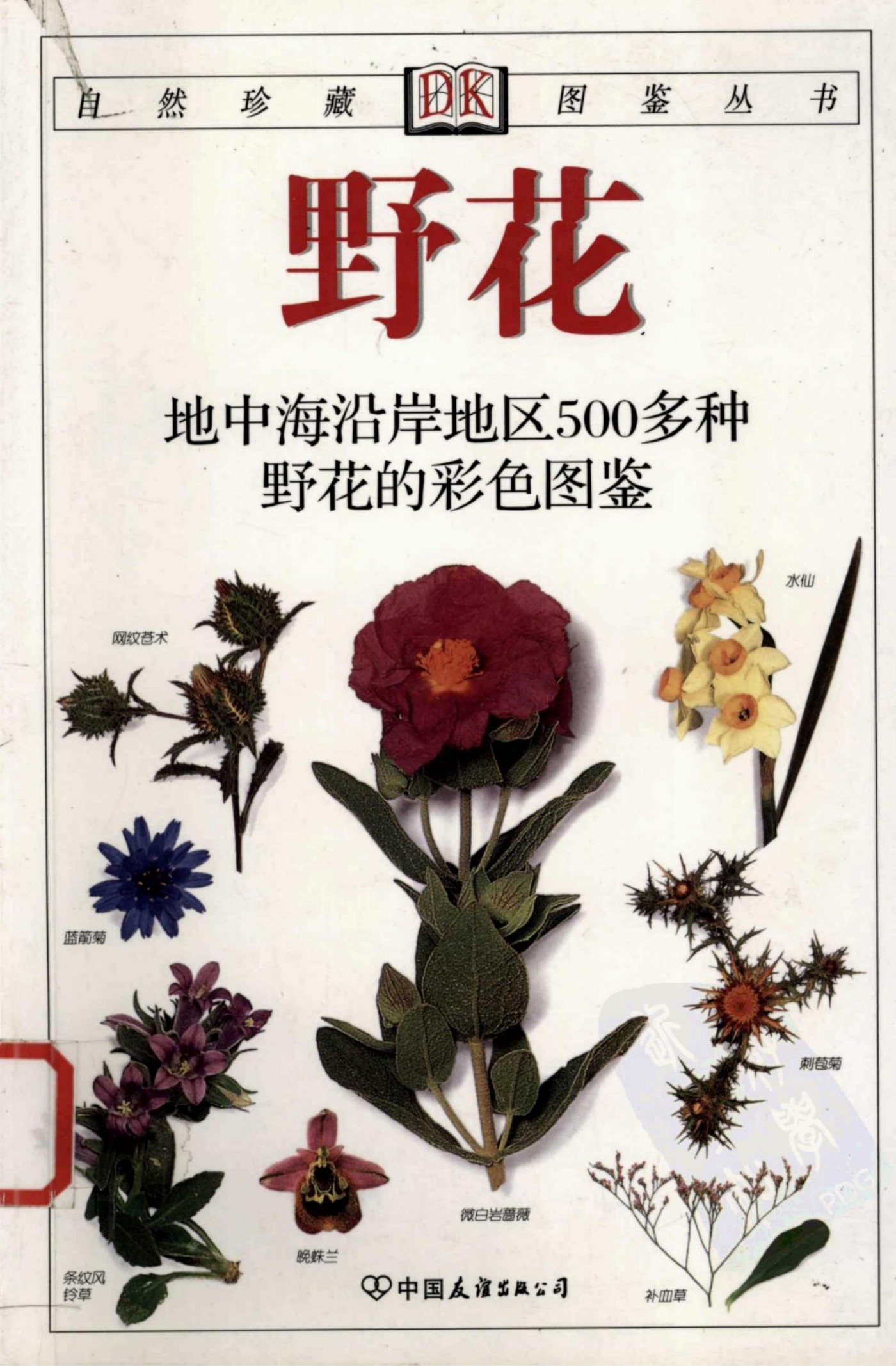 野花：地中海沿岸地区500多种野花的彩色图鉴