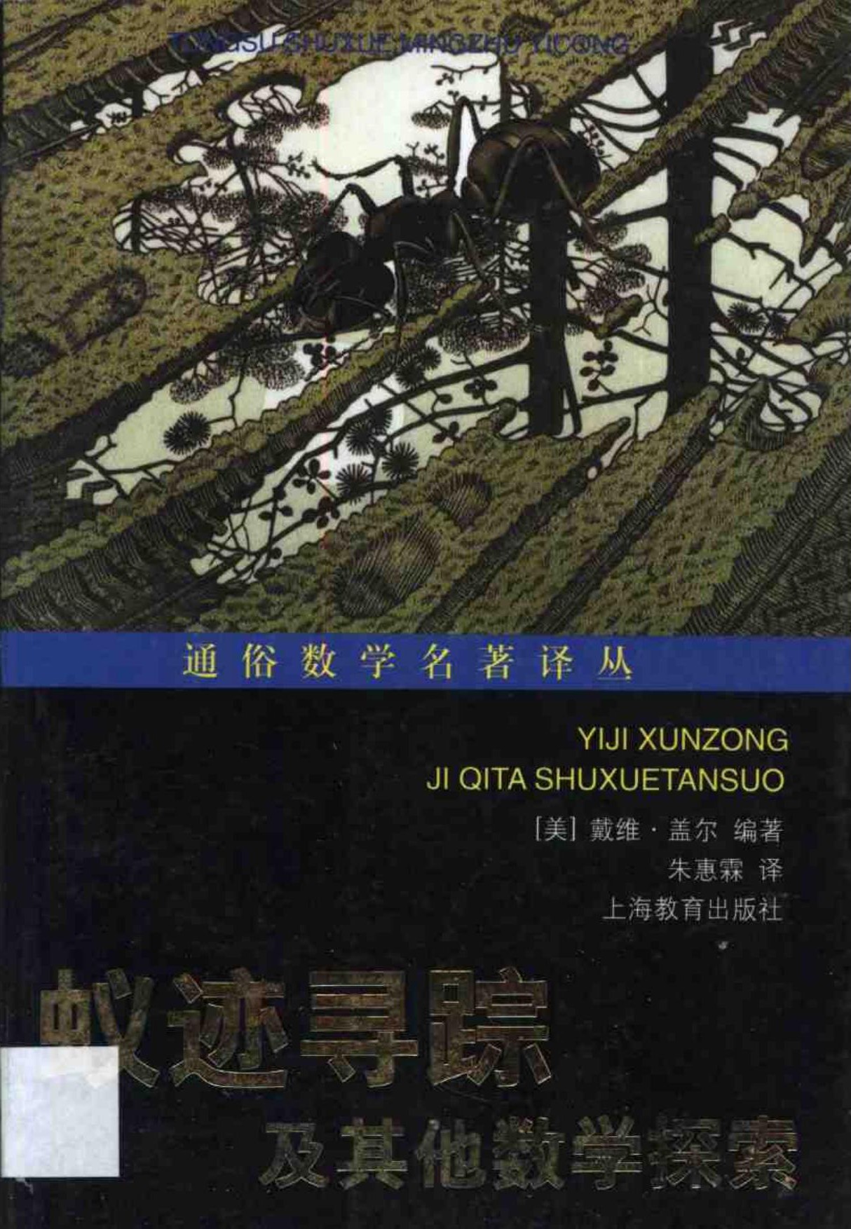 蚁迹寻踪及其他数学探索