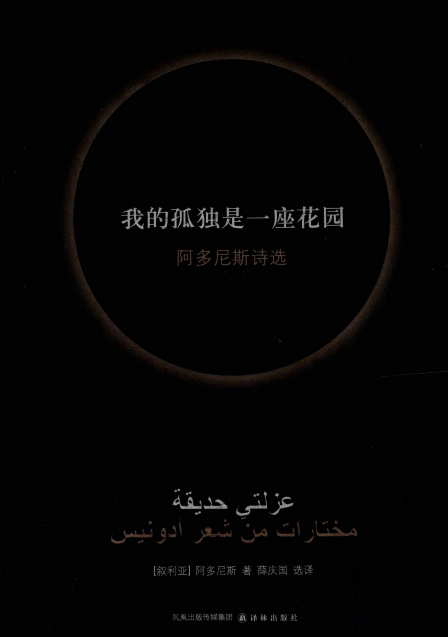 我的孤独是一座花园：阿多尼斯诗选