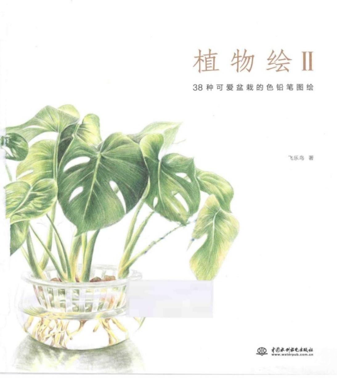 植物绘2：38种可爱盆栽的色铅笔图绘