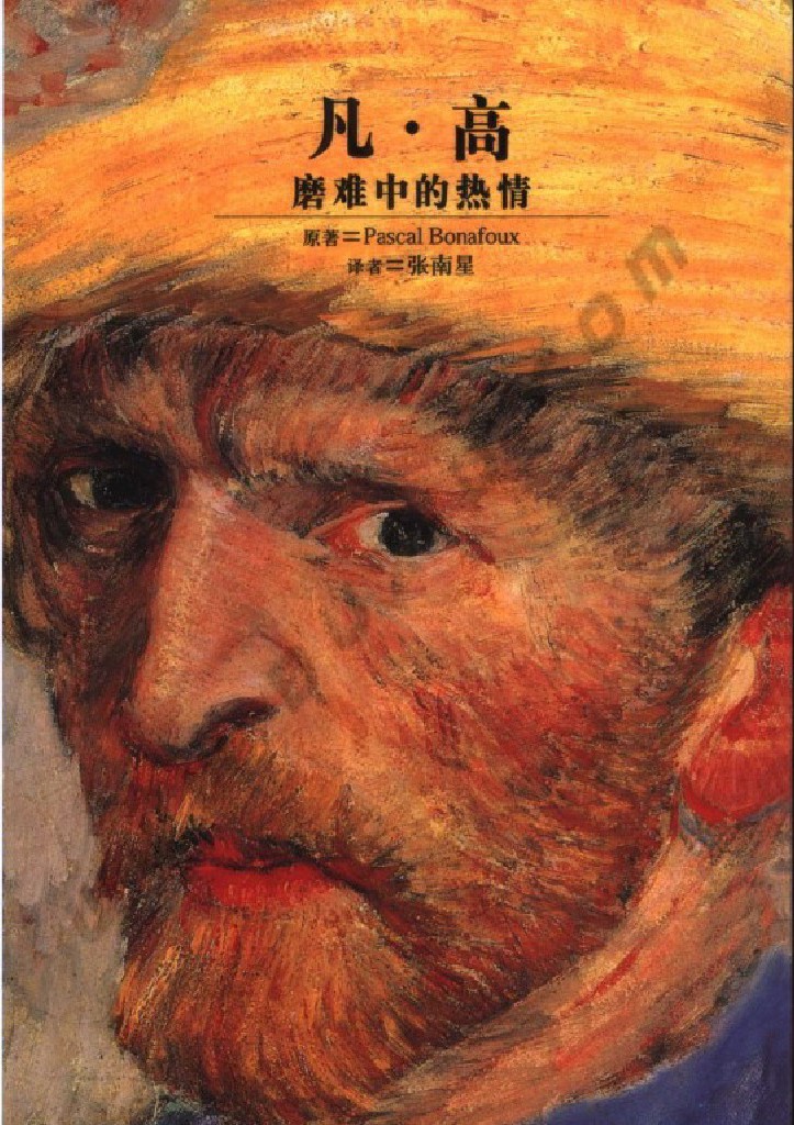 凡·高：磨难中的热情