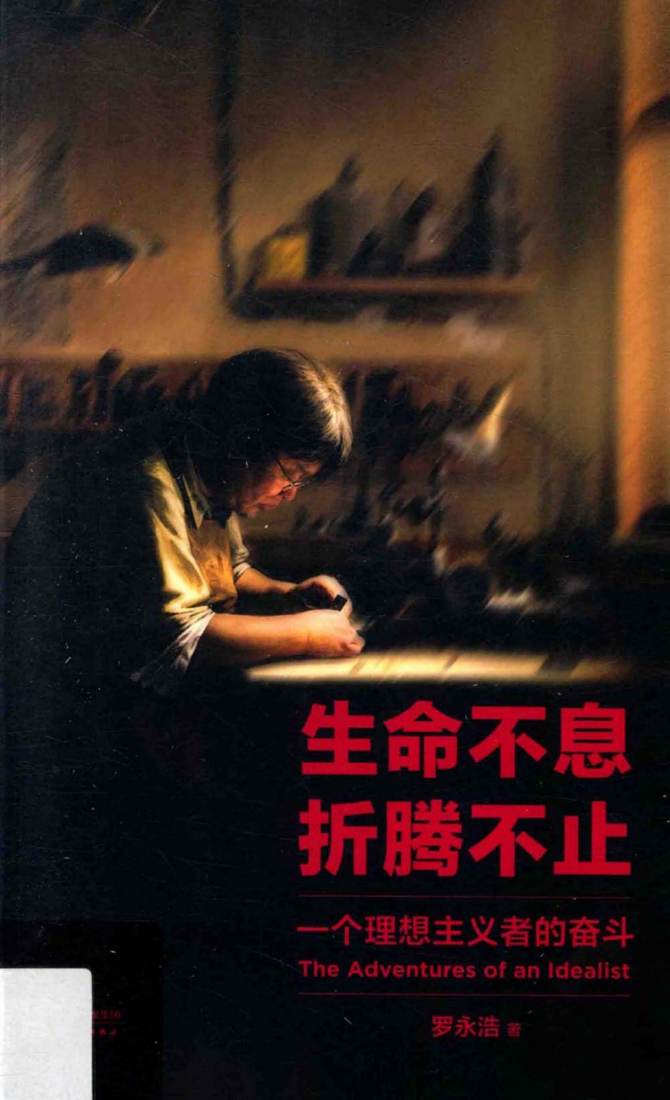 生命不息，折腾不止：一个理想主义者的奋斗