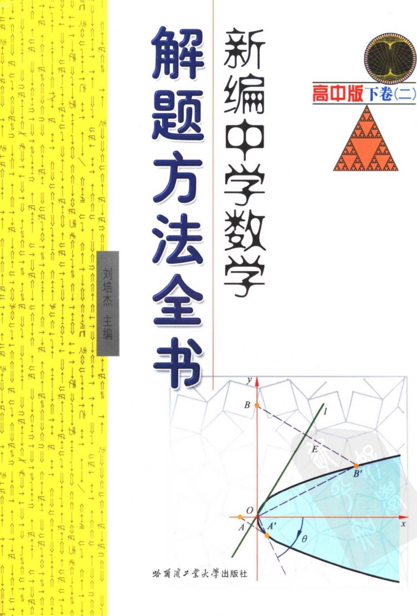 新编中学数学解题方法全书高中版下卷(二)